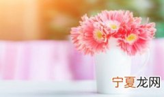 鲜花能存放几天 鲜花一般能放几天