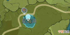 风车菊在哪里买