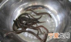 下列选项中因为价格高昂被称为软黄金的鱼类是？ 价格高昂被称为软黄金的鱼