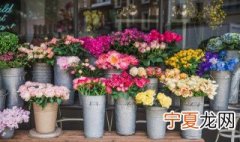 如何开盆栽花卉店 花卉盆栽店怎么开