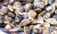 花甲盐水泡一夜会死吗 花甲用盐水泡一夜会不会死