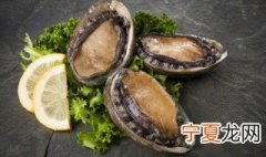 鲍鱼买了没有马上吃要怎么处理 鲍鱼买了没有马上吃应该怎么处理