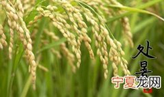 处暑这个节气是什么 处暑这个节气是什么意思