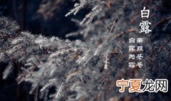 白露节气天气还热吗 北方白露节气天热吗