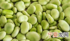 蚕豆的种植方法 蚕豆如何种植