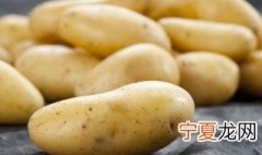 如何水培土豆注意事项 水培土豆的步骤