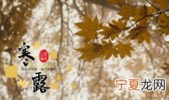 寒露节气是什么时候 今天的寒露节气是什么时间