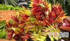 香椿芽要焯水吗 香椿芽要不要焯水