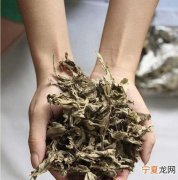 艾草的有什么作用，艾草泡水喝的功效和作用是什么