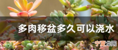 刚换盆的多肉可以浇水，刚拆开的快递多肉可以马上浇水