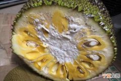 菠萝蜜的浆怎么洗掉，被木菠萝菠萝蜜的浆粘到手怎么办