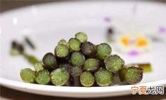 中药石斛的作用功效详细说明书 紫皮石斛的功效与作用价格