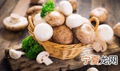 蘑菇怎样能储存到冬天 如何长时间保存蘑菇