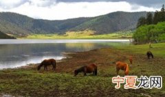 香格里拉普达措国家公园海拔多少米 普达措国家公园海拔多少米