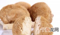 猴头菇如何吃 猴头菇如何吃及介绍