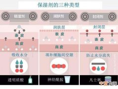 保湿霜剂 含有封闭剂的保湿霜