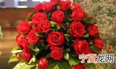 玫瑰花如何延长保鲜 方法如下