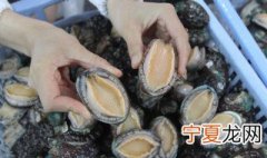 鲍鱼如何清理干净 鲍鱼怎么清理
