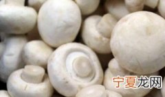 口蘑是白蘑菇吗 白蘑菇就是口蘑吗