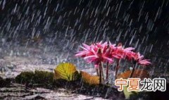 长沙梅雨季节是几月份到几月份结束 长沙梅雨季节持续多久