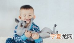 宠物猫怎么养 宠物猫养法技巧