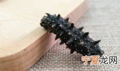 野生海参怎么保存 保存海参的妙招