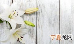 龙牙百合种植基地 龙牙百合种植前景