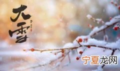 大雪节气有什么忌讳 大雪节气简介