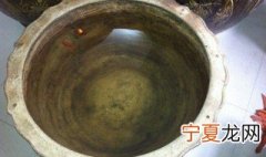 荷花缸如何避免蚊子 可以试试这样做