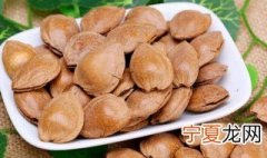 杏核敲开的方法 杏核敲开的方法介绍