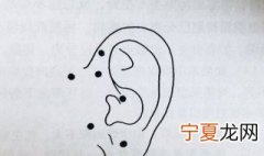 耳仓是什么 耳仓介绍