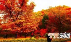 香山红叶在几月份最好 香山红叶什么时间最红