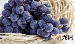 中国中原地区种植葡萄始于哪个朝代东汉西汉西晋 中国中原地区种植葡萄始于