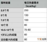 猫粮喂多少合适，猫粮一次喂多少合适