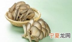 关于种植蘑菇的资料 种植蘑菇都需要什么材料