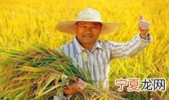中国农民丰收节宣传语 中国农民丰收节宣传语有什么