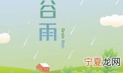 谷雨可以做什么活动 关于谷雨的活动