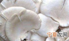 养殖平菇的方法 如何养殖平菇