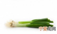 葱的种植方法和时间 什么时候种葱和怎么种呢