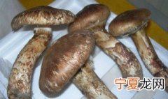 松茸的保存方法 松茸的保存方法有哪些