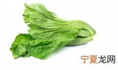 芥菜种植方法步骤 芥菜种植步骤
