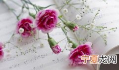 康乃馨风干方法 康乃馨干花制作方法