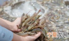 河虾冷藏方法 怎么冷藏河虾