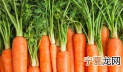 萝卜的储存方法 保管萝卜的方法