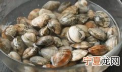 蛤蜊可以放冰箱冷冻吗 蛤蜊可以放冰箱冷藏吗