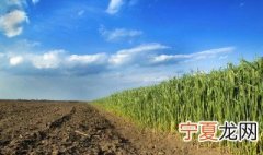 农用地包括哪些 农用地类型