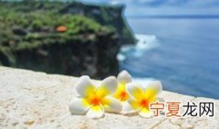 祈祷平安的句子简短 祈求平安的句子示例