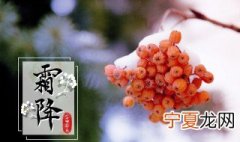 霜降文案简短幼儿园 霜降文案简短