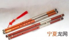 巴乌是什么气鸣乐器 巴乌指的是什么