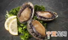 新鲜鲍鱼怎么清洗 新鲜鲍鱼怎么清洗,鲍鱼清洗方法新鲜鲍鱼怎么保存